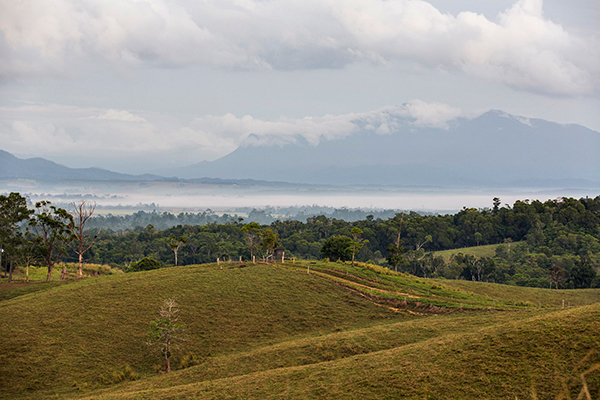 ©Roslyn Budd - www.buddphotography.com.au