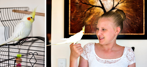 ©Roslyn Budd - www.buddphotography.com.au