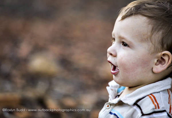 ©Roslyn Budd - www.buddphotography.com.au