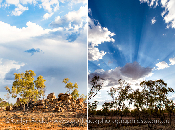 ©Roslyn Budd - www.buddphotography.com.au