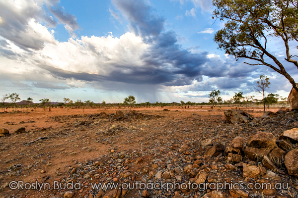 ©Roslyn Budd - www.buddphotography.com.au