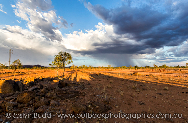 ©Roslyn Budd - www.buddphotography.com.au