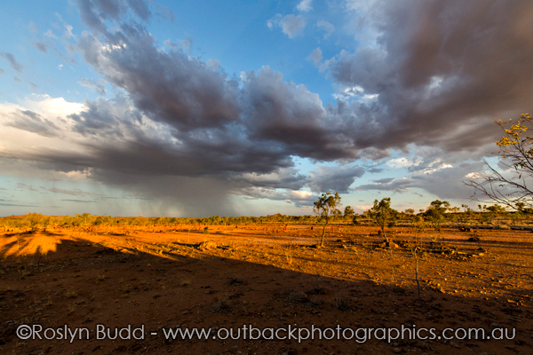 ©Roslyn Budd - www.buddphotography.com.au