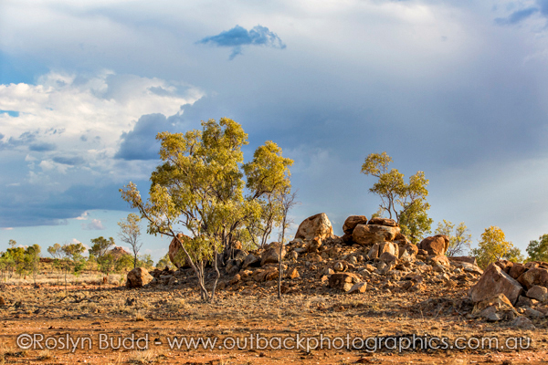 ©Roslyn Budd - www.buddphotography.com.au