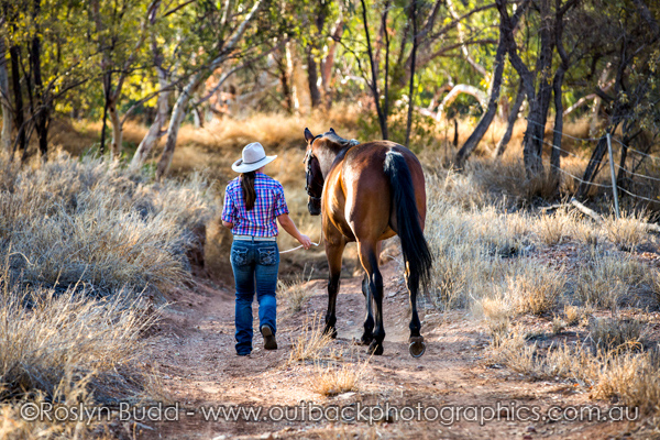 ©Roslyn Budd - www.buddphotography.com.au