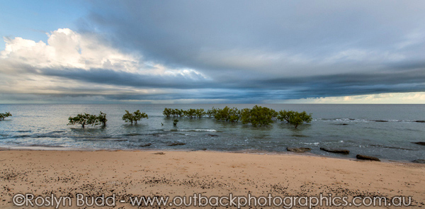 ©Roslyn Budd - www.buddphotography.com.au