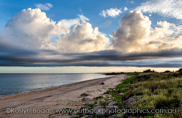 ©Roslyn Budd - www.buddphotography.com.au
