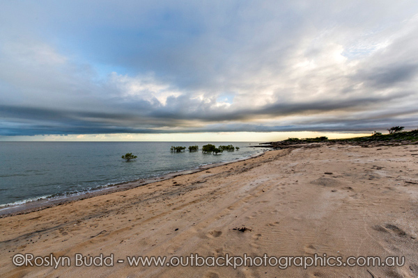 ©Roslyn Budd - www.buddphotography.com.au