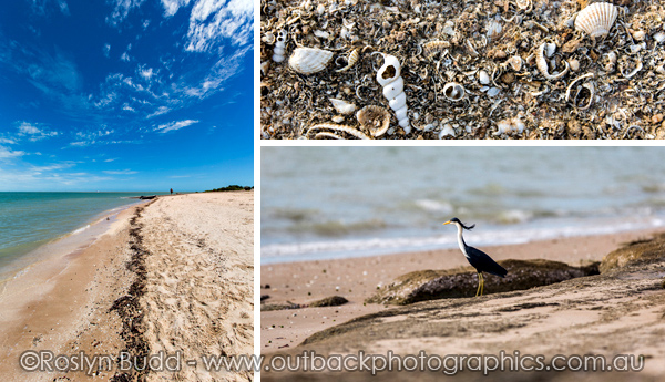 ©Roslyn Budd - www.buddphotography.com.au