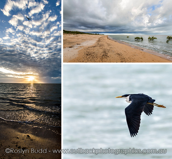 ©Roslyn Budd - www.buddphotography.com.au