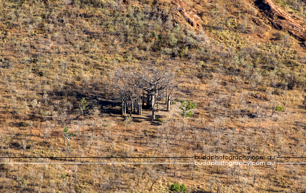 Lake Argyle, The Kimberley, Western Australia, Budd Photography, Helispirit