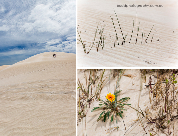 Lancelin, Western Australia. buddphotography.com.au
