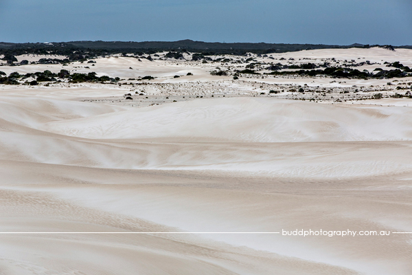 Lancelin, Western Australia. buddphotography.com.au