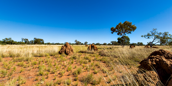 Larrawa Station, Larrawa Nature Stay, The Kimberley, Western Australia