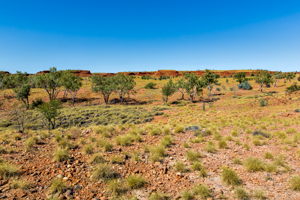 Larrawa Station, Larrawa Nature Stay, The Kimberley, Western Australia