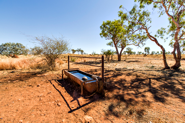 Larrawa Station, Larrawa Nature Stay, The Kimberley, Western Australia