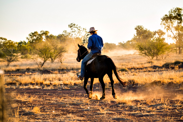 Larrawa Station, Larrawa Nature Stay, The Kimberley, Western Australia