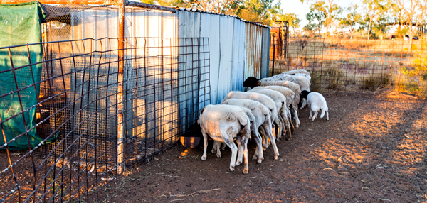 Larrawa Station, Larrawa Nature Stay, The Kimberley, Western Australia