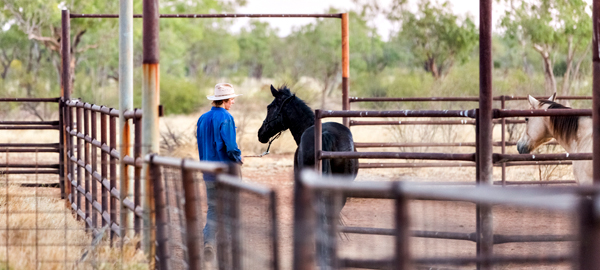 Larrawa Station, Larrawa Nature Stay, The Kimberley, Western Australia