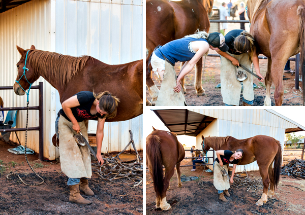Larrawa Station, Larrawa Nature Stay, The Kimberley, Western Australia
