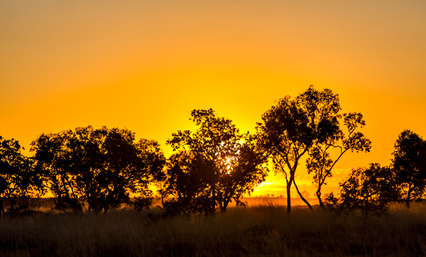 Larrawa Station, Larrawa Nature Stay, The Kimberley, Western Australia