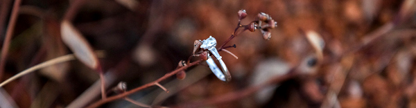 ©Roslyn Budd - www.buddphotography.com.au