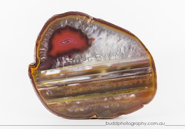 ©Roslyn Budd - www.buddphotography.com.au