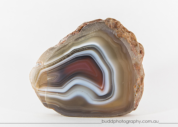 ©Roslyn Budd - www.buddphotography.com.au