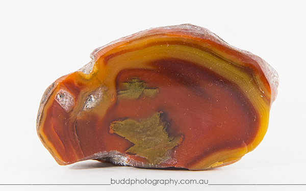 ©Roslyn Budd - www.buddphotography.com.au