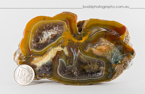 ©Roslyn Budd - www.buddphotography.com.au