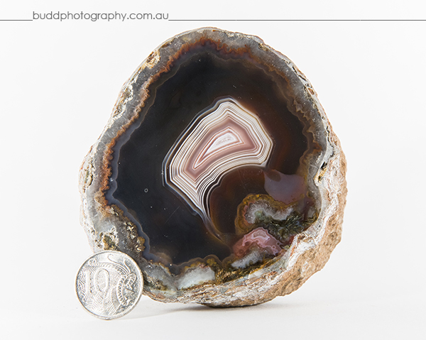 ©Roslyn Budd - www.buddphotography.com.au