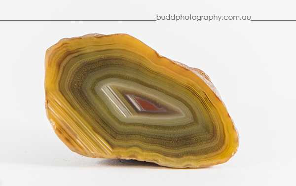 ©Roslyn Budd - www.buddphotography.com.au