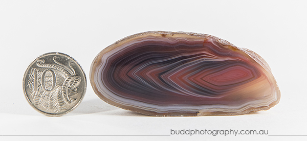 ©Roslyn Budd - www.buddphotography.com.au