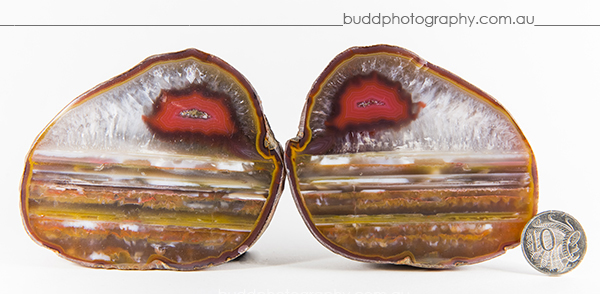 ©Roslyn Budd - www.buddphotography.com.au