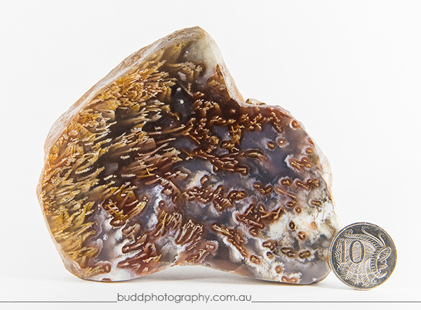 ©Roslyn Budd - www.buddphotography.com.au