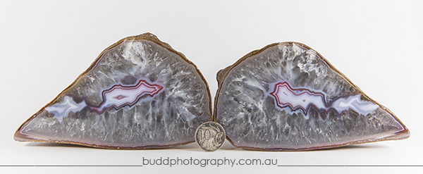 ©Roslyn Budd - www.buddphotography.com.au