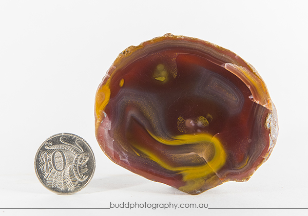 ©Roslyn Budd - www.buddphotography.com.au