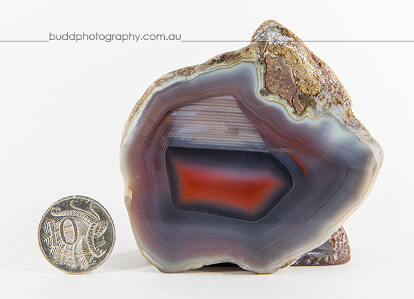 ©Roslyn Budd - www.buddphotography.com.au