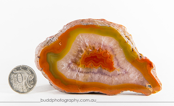 ©Roslyn Budd - www.buddphotography.com.au