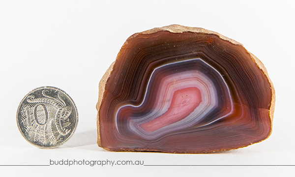 ©Roslyn Budd - www.buddphotography.com.au