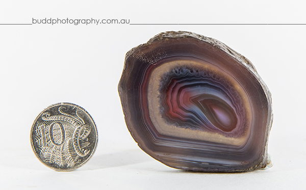 ©Roslyn Budd - www.buddphotography.com.au