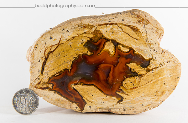 ©Roslyn Budd - www.buddphotography.com.au