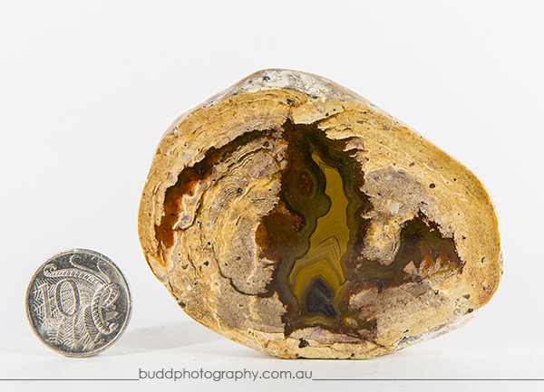 ©Roslyn Budd - www.buddphotography.com.au