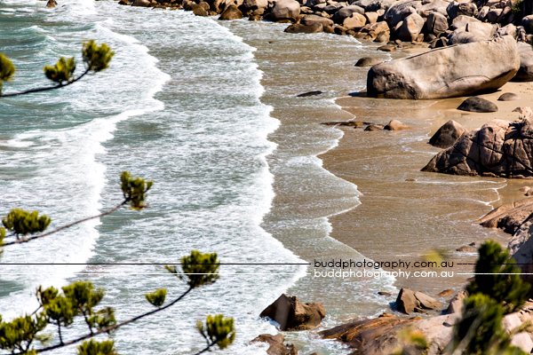 ©Roslyn Budd - www.buddphotography.com.au