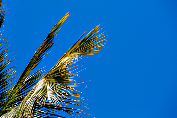 ©Roslyn Budd - www.buddphotography.com.au
