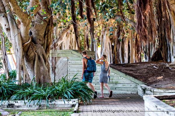 ©Roslyn Budd - www.buddphotography.com.au