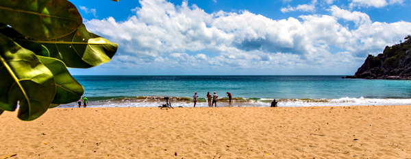 ©Roslyn Budd - www.buddphotography.com.au