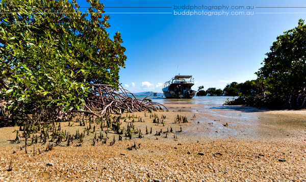 ©Roslyn Budd - www.buddphotography.com.au
