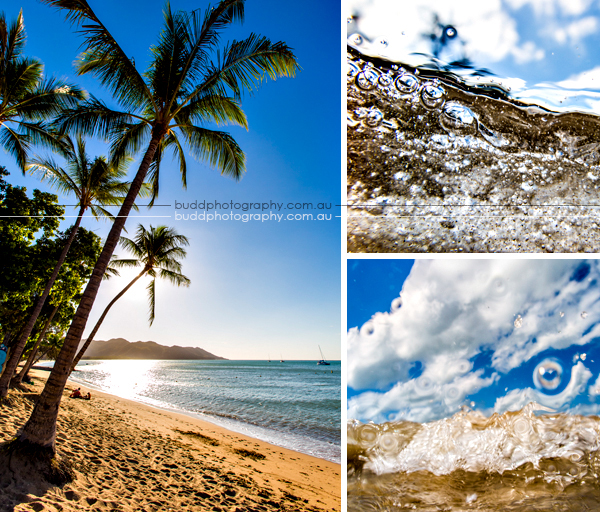 ©Roslyn Budd - www.buddphotography.com.au