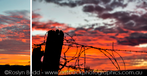 ©Roslyn Budd - www.buddphotography.com.au